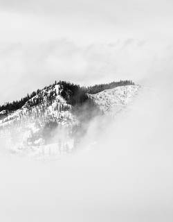 dave-hoefler-vHgAy9pOs9I-unsplash