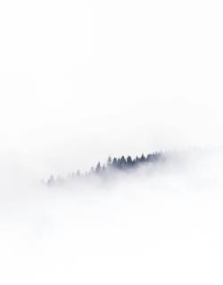 mads-schmidt-rasmussen-6YmzwamGzCg-unsplash