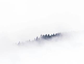 mads-schmidt-rasmussen-6YmzwamGzCg-unsplash