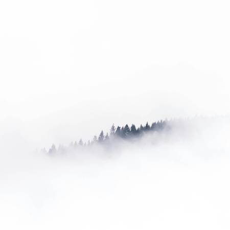 {{childpage.title}}